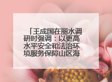 王成国在丽水调研时强调：以更高水平安全和法治环境服务保障山区海岛县高质量发展